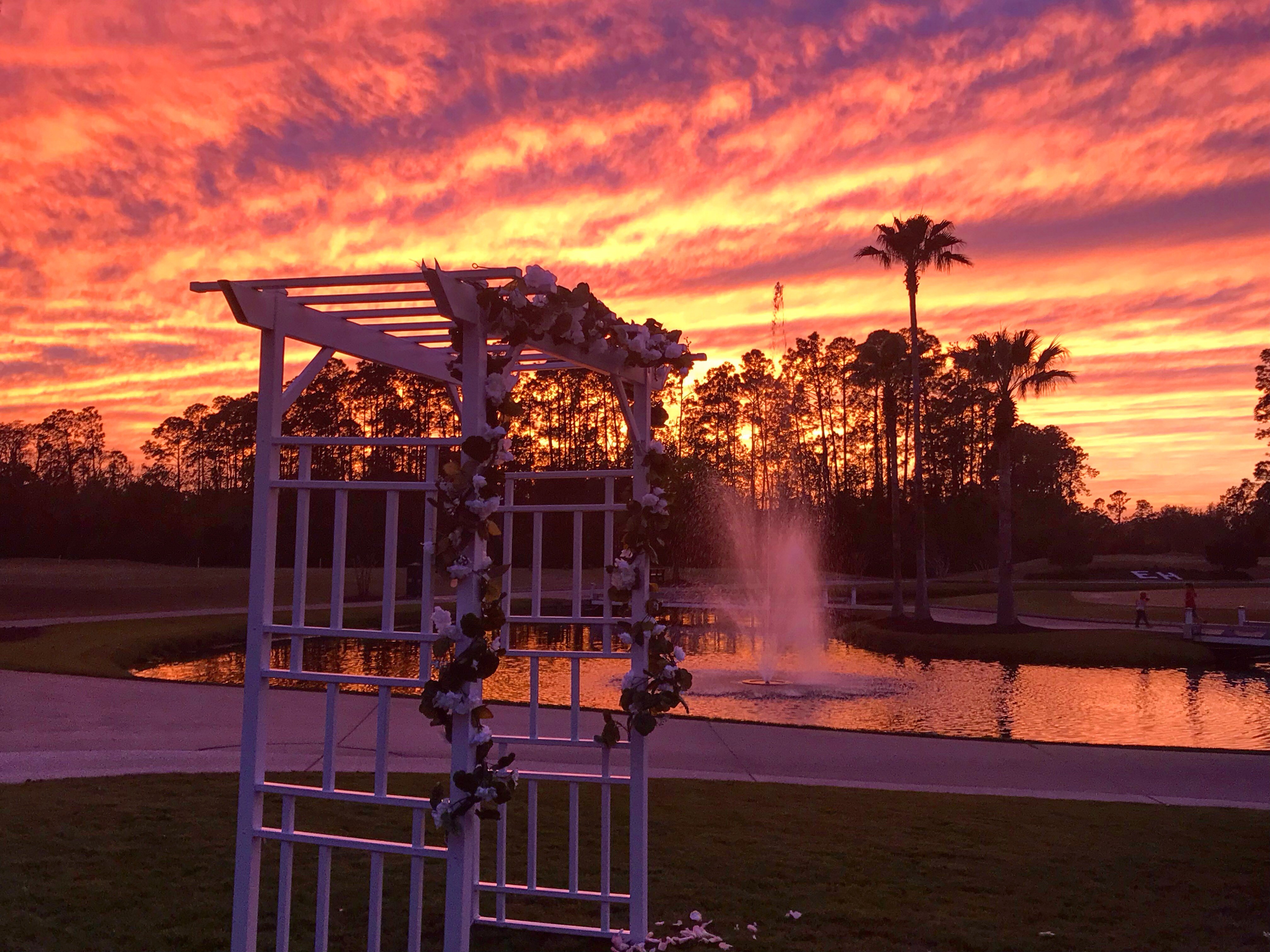 Palm-lined garden ceremony